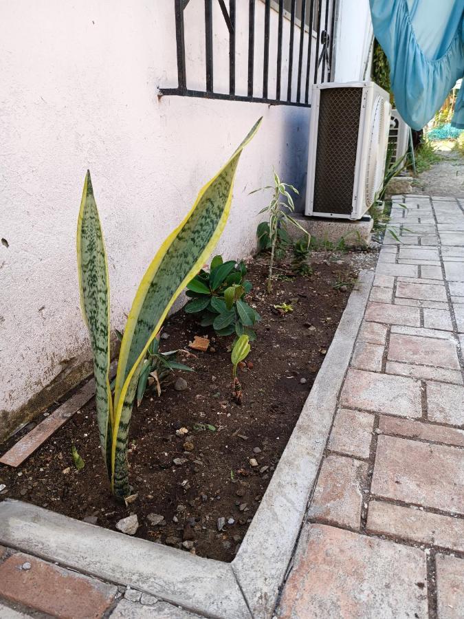 Hostal A 10 Min Del Centro De Veracruz Exteriér fotografie